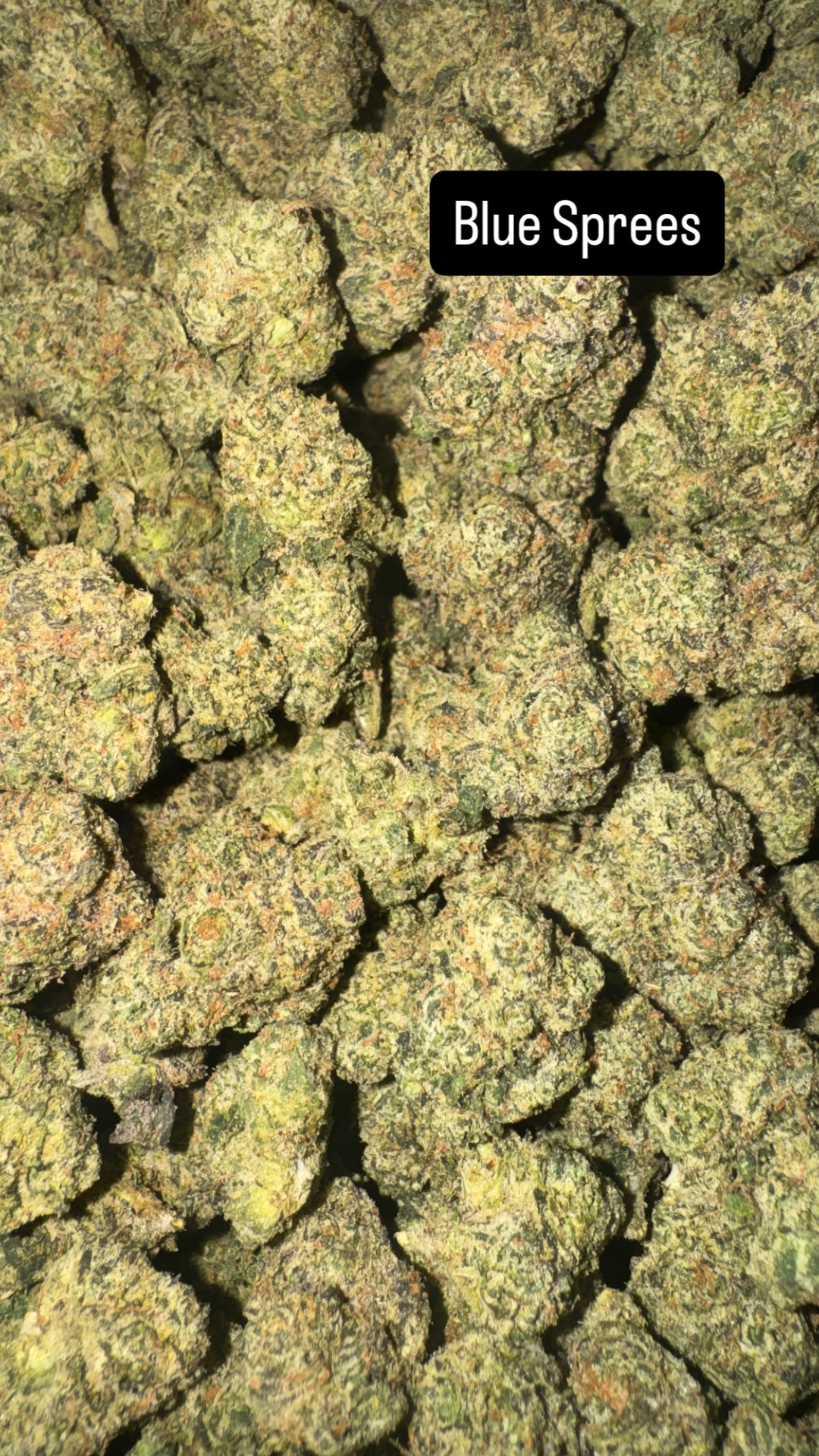 Blue Sprees