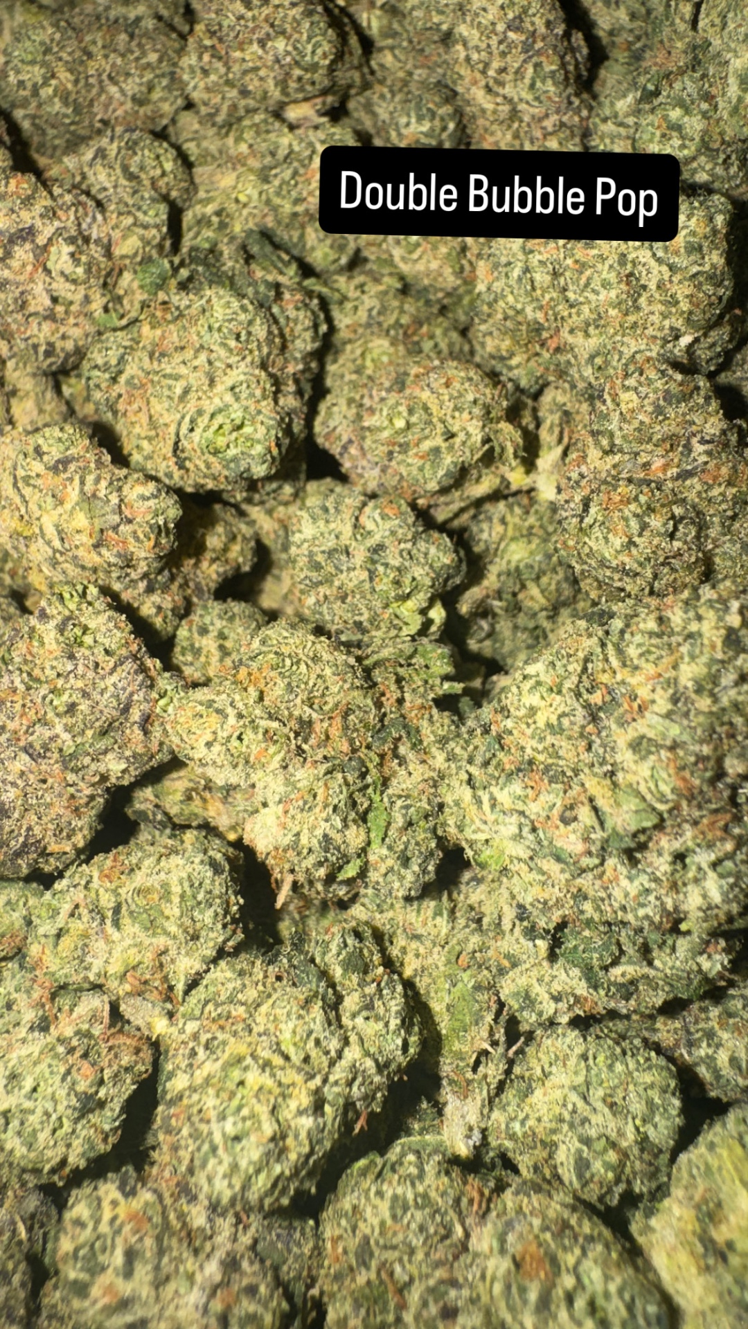 Double Bubble Pop