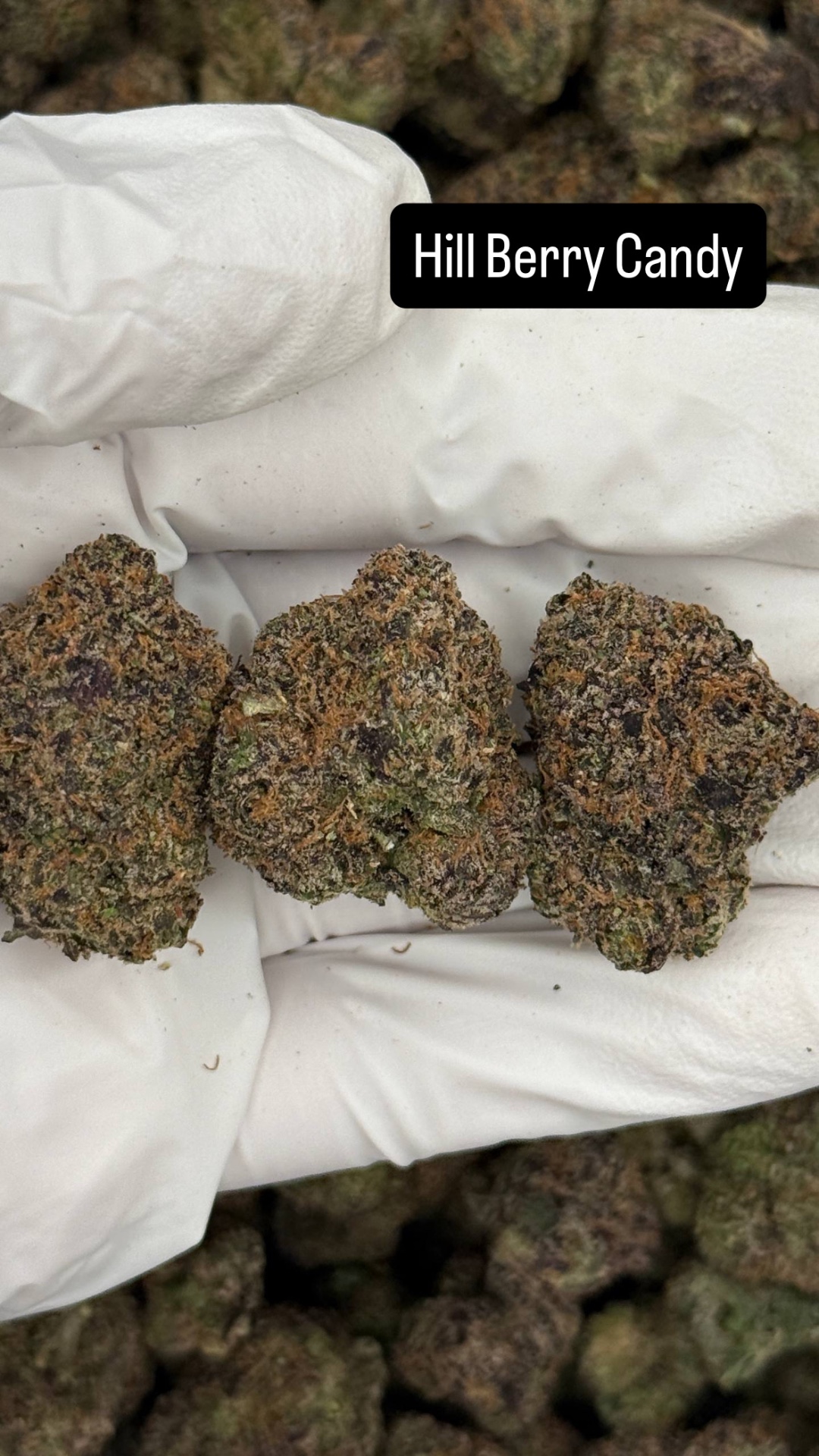 Hill Berry Candy