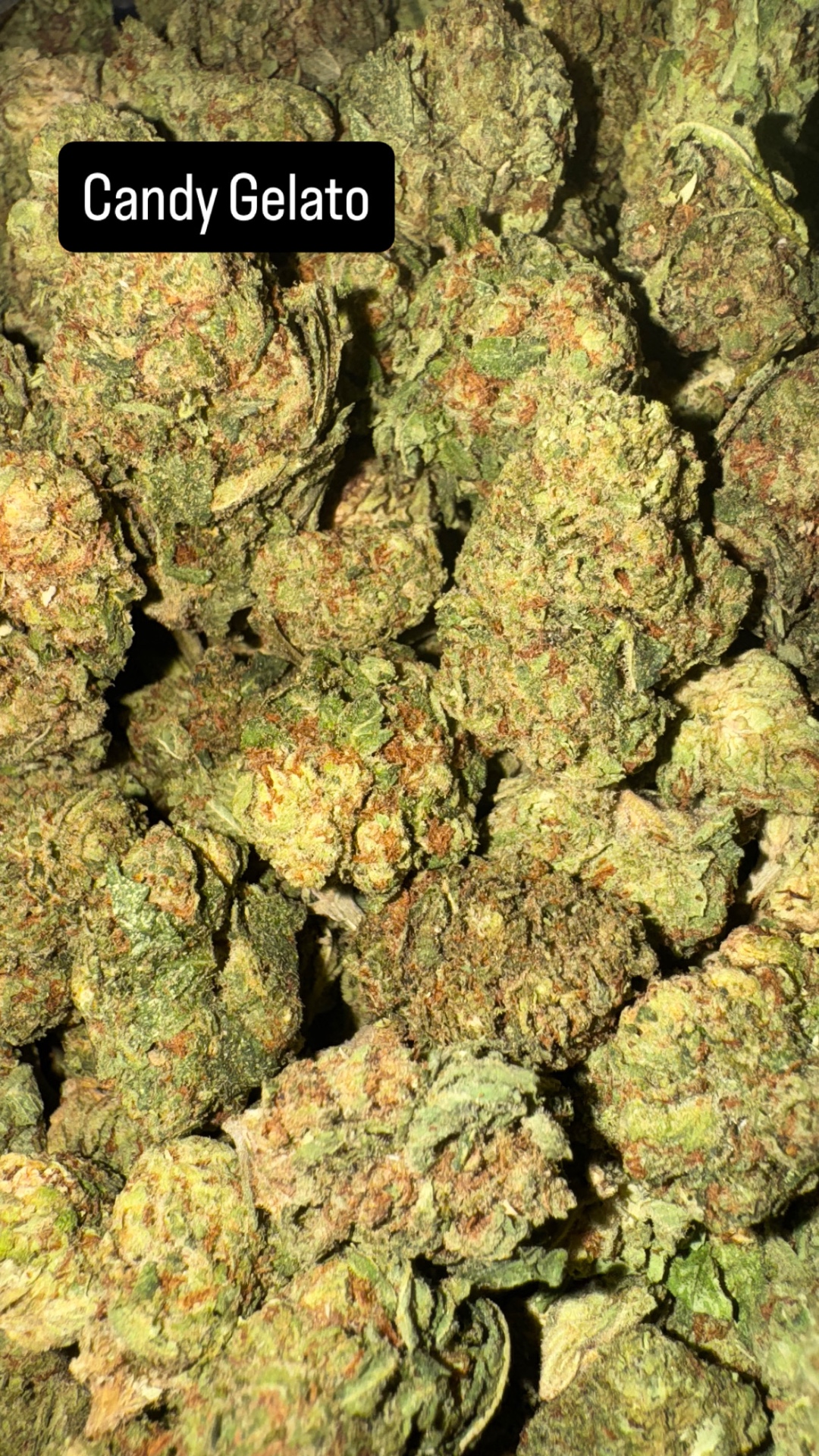 Candy Gelato