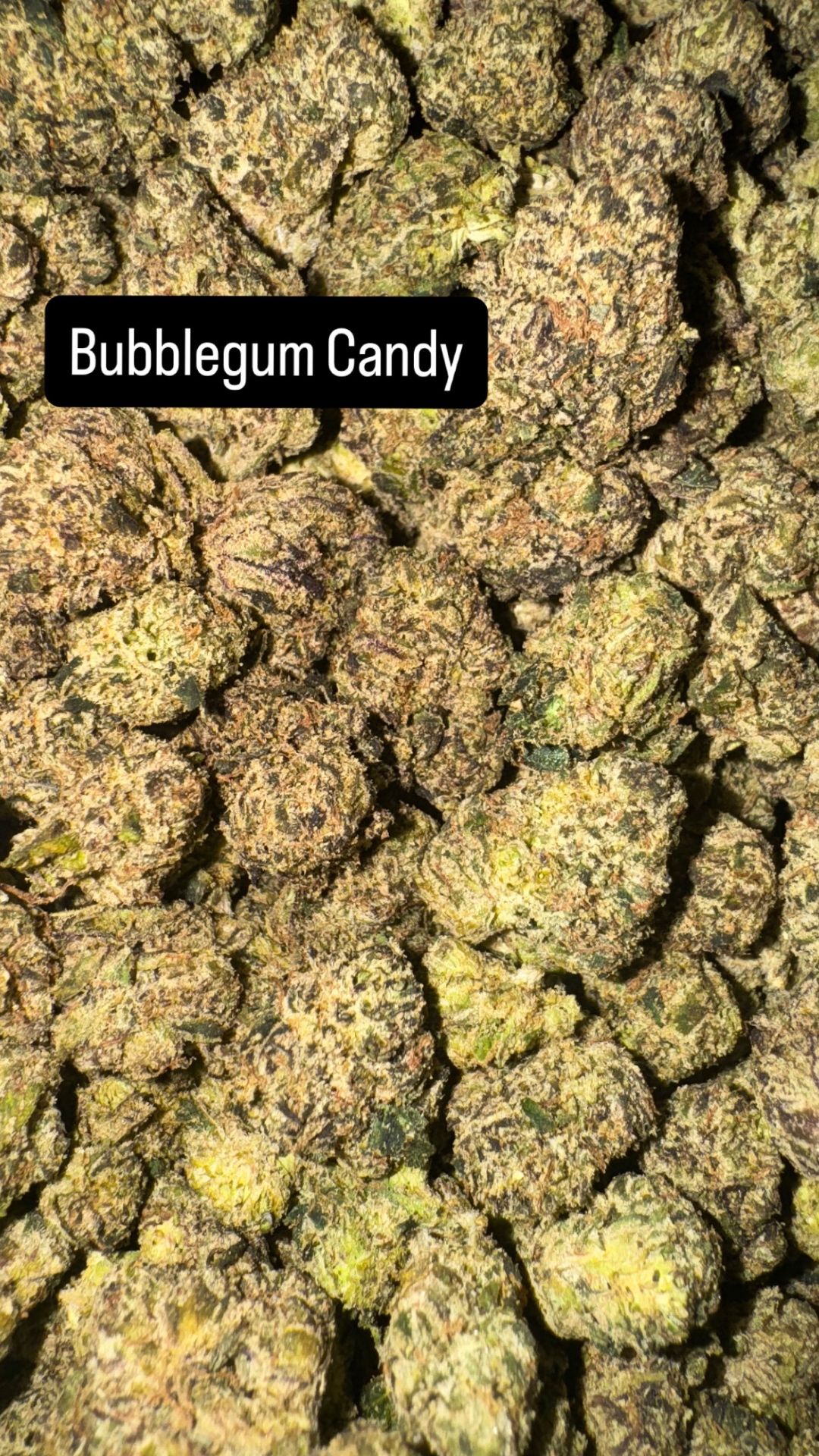 Bubblegum Candy