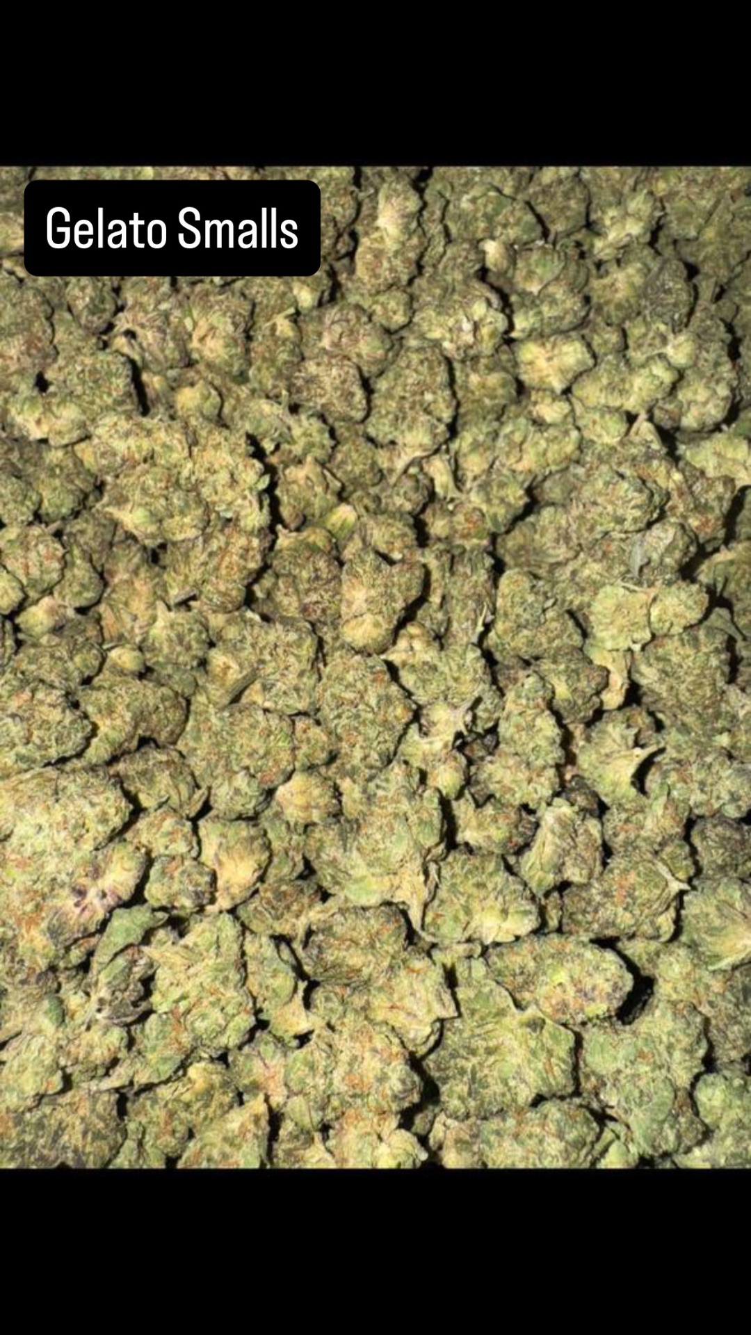 Gelato Smalls