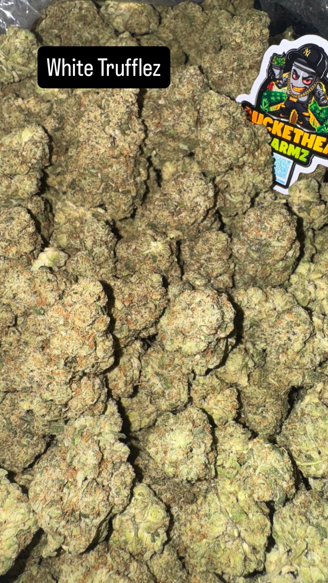 White Trufflez